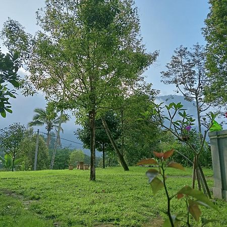 Jepun Homestay Lemukih Singaraja Eksteriør billede
