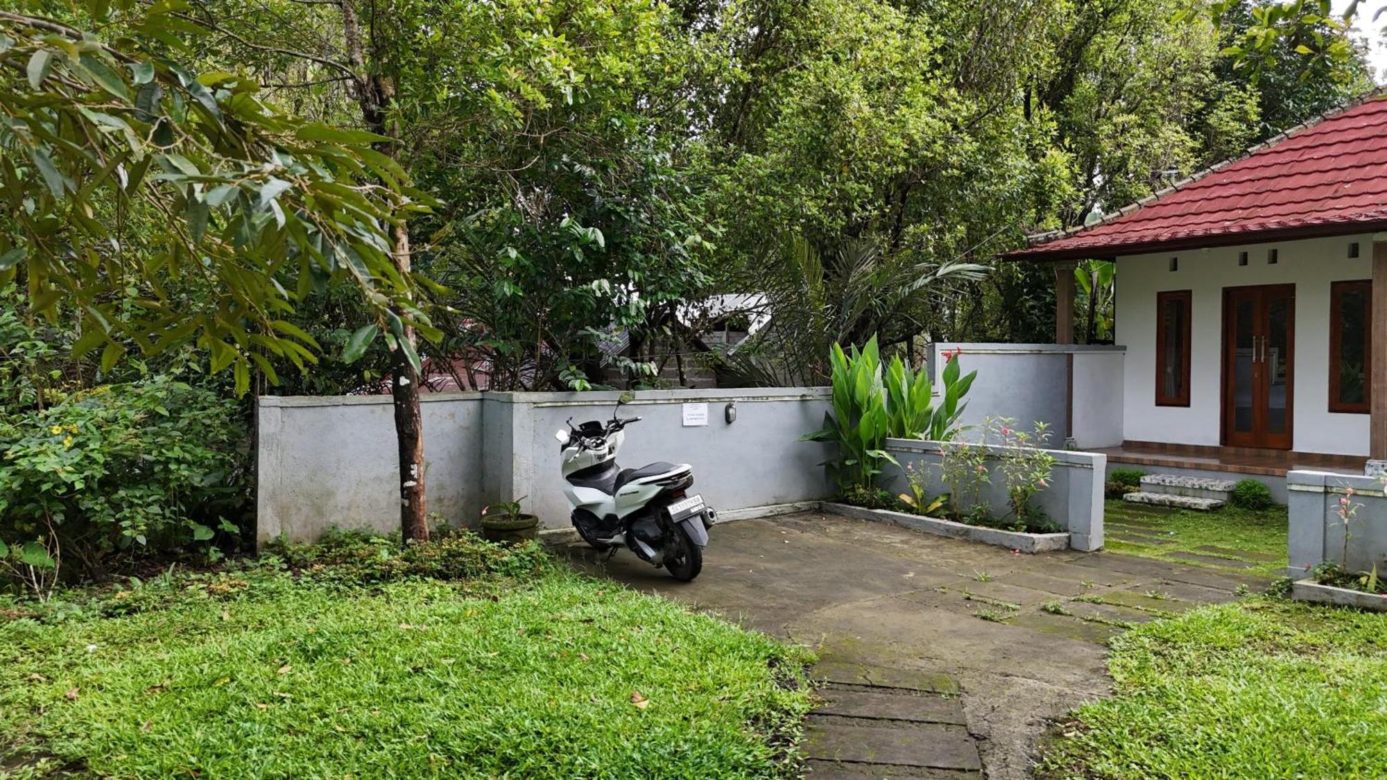 Jepun Homestay Lemukih Singaraja Eksteriør billede